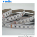 DC12V / 24V RGBW LED Strip Light